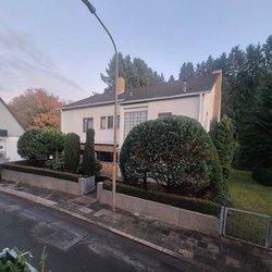 Heckenschnitt durch Ruelius Green Gartenservice Kaiserslautern Bild Nr. 47