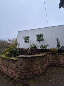 Gartenarbeiten durch Ruelius Green Gartenservice Kaiserslautern Bild Nr. 3