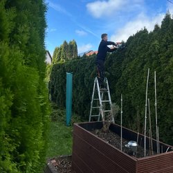 Heckenschnitt durch Ruelius Green Gartenservice Kaiserslautern Bild Nr. 13