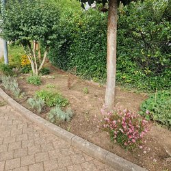 Gartenarbeiten durch Ruelius Green Gartenservice Kaiserslautern Bild Nr. 14