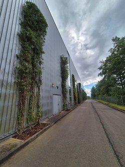 Gartenpflegeservice von Ruelius Green Kaiserslautern Bild Nr. 16