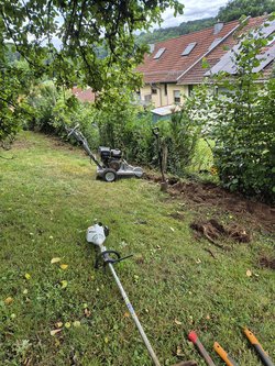 Baumwurzel Entfernung durch Ruelius Green Gartenservice Kaiserslautern Bild Nr. 21