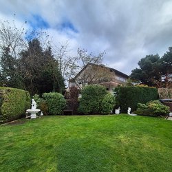 Heckenschnitt durch Ruelius Green Gartenservice Kaiserslautern Bild Nr. 42