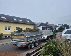 Grünschnittentsorgung durch Ruelius Green Gartenservice Kaiserslautern Bild Nr. 8