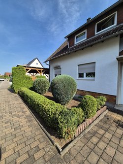 Heckenschnitt durch Ruelius Green Gartenservice Kaiserslautern Bild Nr. 25