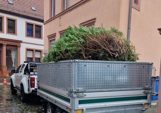 Grünschnittentsorgung, Entfernung des Schnittguts