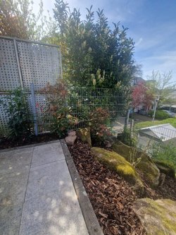  Gartenarbeiten durch Ruelius Green Gartenservice Kaiserslautern Bild Nr. 19