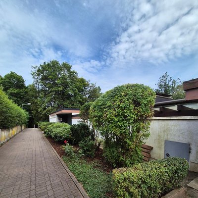 Gepflegte Vorgartenhecke durch Ruelius Green Gartenpflege Kaiserslautern