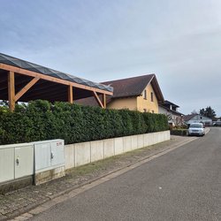 Heckenschnitt durch Ruelius Green Gartenservice Kaiserslautern Bild Nr. 35