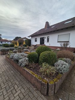 Gartenpflegeservice von Ruelius Green Kaiserslautern Bild Nr. 8