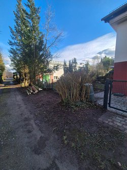 Hecken roden durch Ruelius Green Gartenservice Kaiserslautern Bild Nr. 22