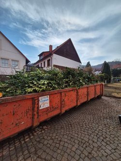 Grünschnittentsorgung durch Ruelius Green Gartenservice Kaiserslautern Bild Nr. 4