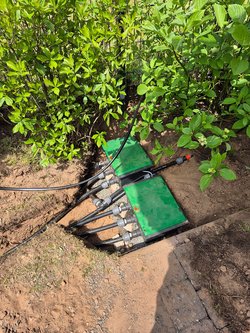 Rasenmähen durch Ruelius Green Gartenservice Kaiserslautern Bild Nr. 4