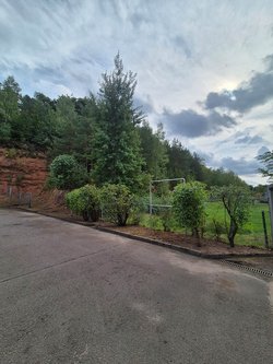 Gartenpflegeservice von Ruelius Green Kaiserslautern Bild Nr. 15