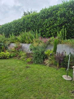  Gartenarbeiten durch Ruelius Green Gartenservice Kaiserslautern Bild Nr. 22