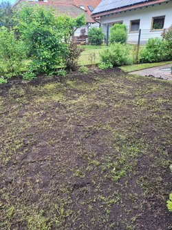 Rasenmähen durch Ruelius Green Gartenservice Kaiserslautern Bild Nr. 3