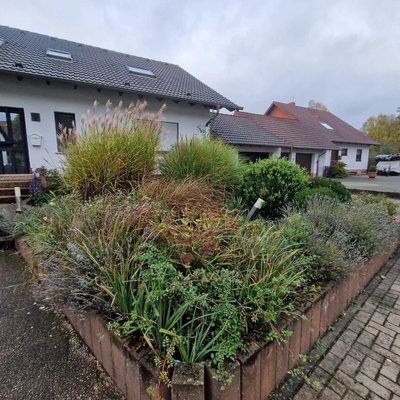 Vorgarten vor der Gartenpflege