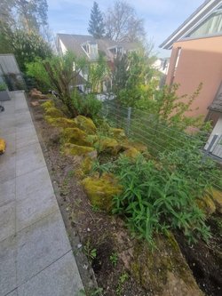  Gartenarbeiten durch Ruelius Green Gartenservice Kaiserslautern Bild Nr. 20