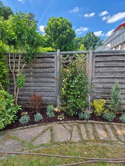  Gartenarbeiten durch Ruelius Green Gartenservice Kaiserslautern Bild Nr. 33