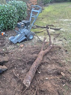 Baumwurzel Entfernung durch Ruelius Green Gartenservice Kaiserslautern Bild Nr. 17