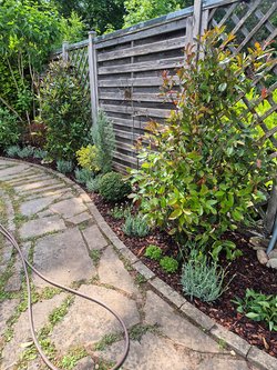  Gartenarbeiten durch Ruelius Green Gartenservice Kaiserslautern Bild Nr. 32