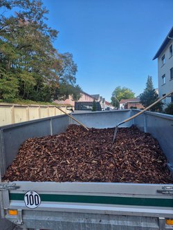  Gartenarbeiten durch Ruelius Green Gartenservice Kaiserslautern Bild Nr. 44