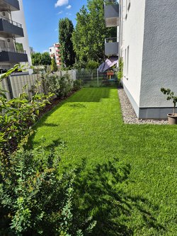 Rasenmähen durch Ruelius Green Gartenservice Kaiserslautern Bild Nr. 15