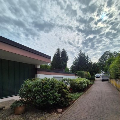 Vorgarten nach dem Heckenschnitt durch Rulius Green Kaiserslautern