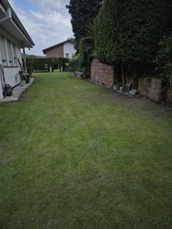 Rasenmähen durch Ruelius Green Gartenservice Kaiserslautern Bild Nr. 8