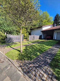 Rasenmähen durch Ruelius Green Gartenservice Kaiserslautern Bild Nr. 10