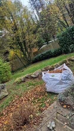Rasenmähen durch Ruelius Green Gartenservice Kaiserslautern Bild Nr. 5