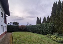 Heckenschnitt durch Ruelius Green Gartenservice Kaiserslautern Bild Nr. 32