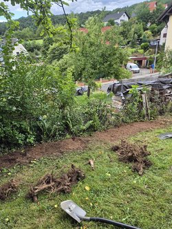 Baumwurzel Entfernung durch Ruelius Green Gartenservice Kaiserslautern Bild Nr. 20