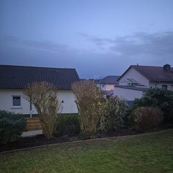 Heckenschnitt durch Ruelius Green Gartenservice Kaiserslautern Bild Nr. 46