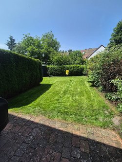 Rasenmähen durch Ruelius Green Gartenservice Kaiserslautern Bild Nr. 13