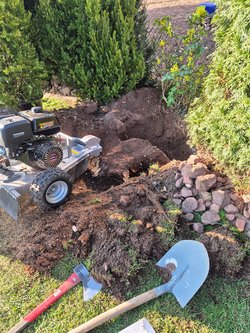 Baumwurzel Entfernung durch Ruelius Green Gartenservice Kaiserslautern Bild Nr. 14