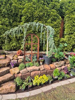  Gartenarbeiten durch Ruelius Green Gartenservice Kaiserslautern Bild Nr. 7