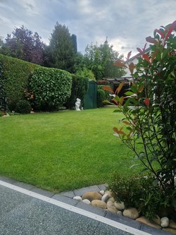 Rasenmähen durch Ruelius Green Gartenservice Kaiserslautern Bild Nr. 1