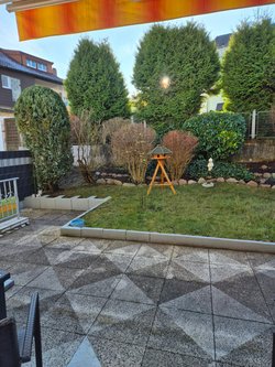 Heckenschnitt durch Ruelius Green Gartenservice Kaiserslautern Bild Nr. 18