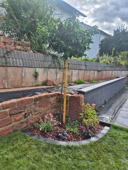  Gartenarbeiten durch Ruelius Green Gartenservice Kaiserslautern Bild Nr. 46