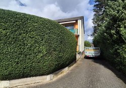 Heckenschnitt durch Ruelius Green Gartenservice Kaiserslautern Bild Nr. 7