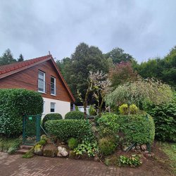 Heckenschnitt durch Ruelius Green Gartenservice Kaiserslautern Bild Nr. 36