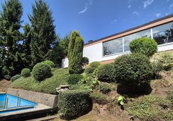 Heckenschnitt durch Ruelius Green Gartenservice Kaiserslautern Bild Nr. 19