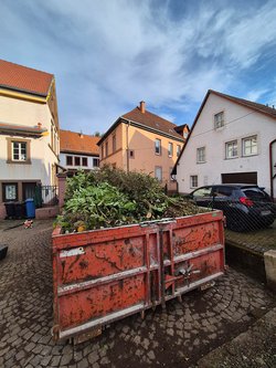 Grünschnittentsorgung durch Ruelius Green Gartenservice Kaiserslautern Bild Nr. 6