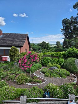  Gartenarbeiten durch Ruelius Green Gartenservice Kaiserslautern Bild Nr. 36