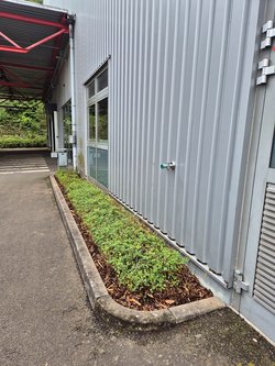 Gartenpflegeservice von Ruelius Green Kaiserslautern Bild Nr. 17