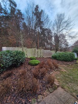  Gartenarbeiten durch Ruelius Green Gartenservice Kaiserslautern Bild Nr. 57