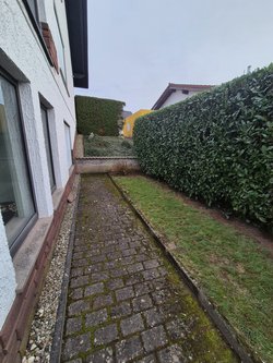 Gartenpflegeservice von Ruelius Green Kaiserslautern Bild Nr. 10