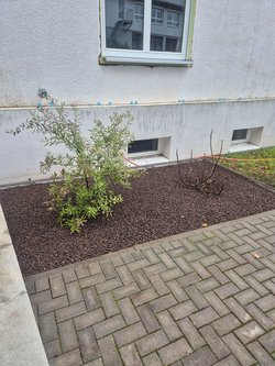  Gartenarbeiten durch Ruelius Green Gartenservice Kaiserslautern Bild Nr. 55