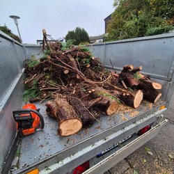 Grünschnittentsorgung durch Ruelius Green Gartenservice Kaiserslautern Bild Nr. 5
